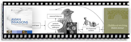 The Baldwin's paper gets coverage that matters.