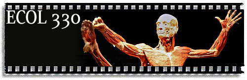 ECOL 330 '09: gone in 20 minutes