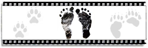 Blackfeet of the Blackfoot kid