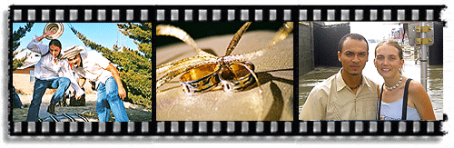 Dana and Ernesto were married on Dec 28