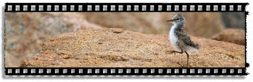 Amazing journey added to TenBestPhotos.com