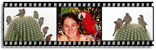 Laura gets a research grant Laura gets a research grant