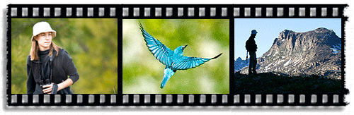 Renee gets NSF grant!