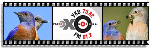 Sialias on radiowaves