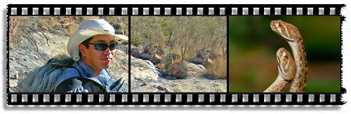 Takashi to start grad school